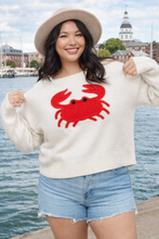 Load image into Gallery viewer, Chesapeake Charm Crab Sweater (Available in Curvy)