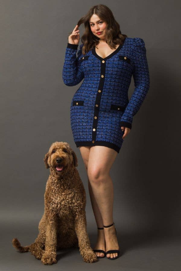 Preppy in Plaid Fitted Sweater Dress (Curvy Collection) 2X / BLUE