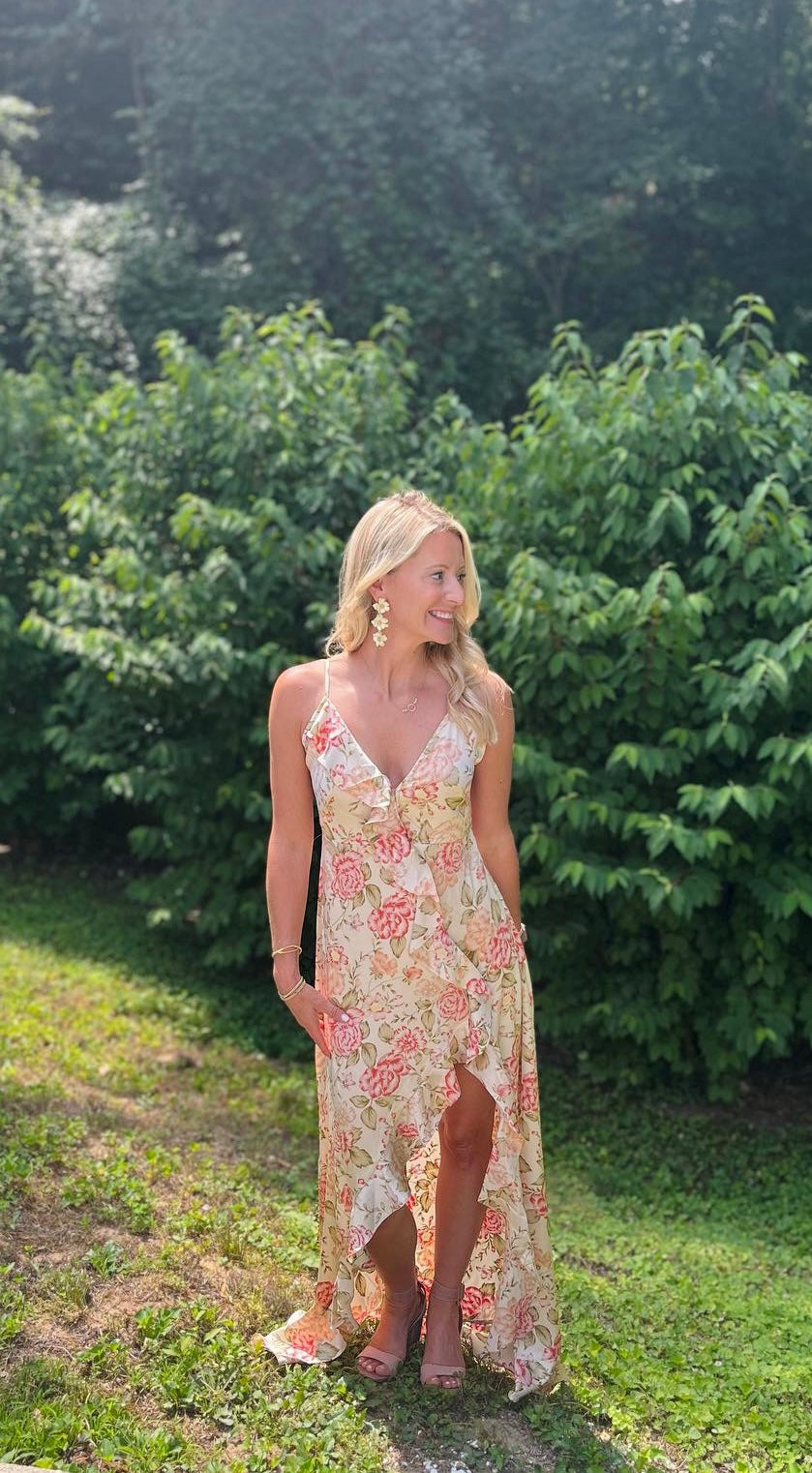 Whisk me Away Dress Stellaluna Raine