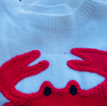 Load image into Gallery viewer, Chesapeake Charm Crab Sweater (Available in Curvy)
