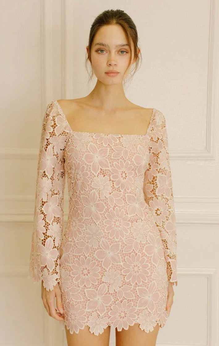 Blushing Beauty Lace Dress