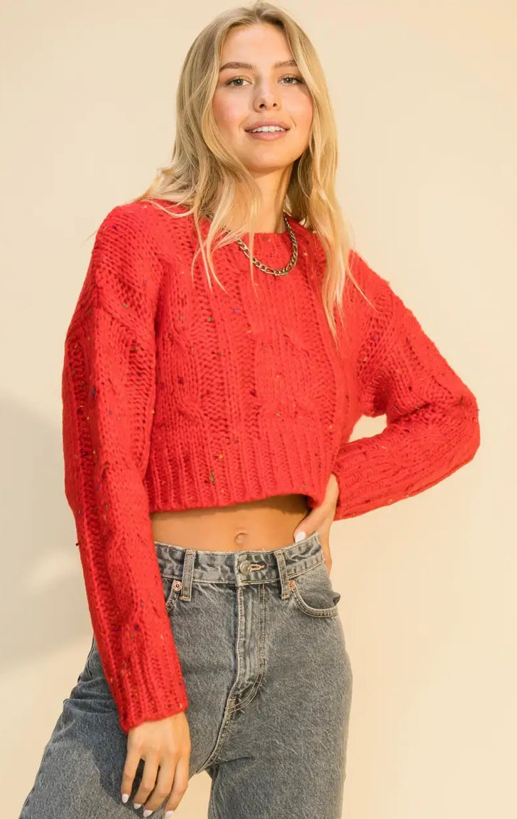 Red Confetti Crop Cable Sweater